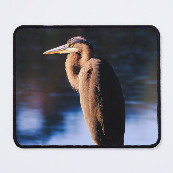 Item preview, Solitary Great Blue Heron by Water at Dusk designed and sold by TheAnimalZ00.