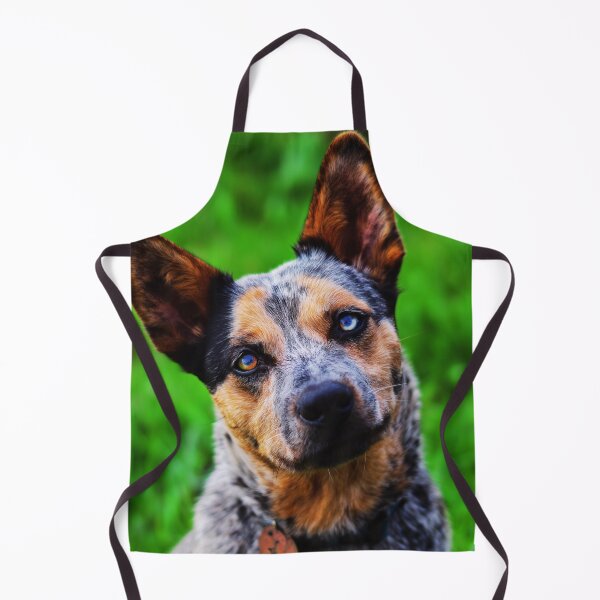 Item preview, Curious Australian Cattle Dog Close-Up designed and sold by TheAnimalZ00.
