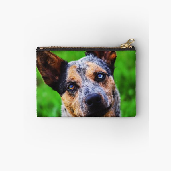 Item preview, Curious Australian Cattle Dog Close-Up designed and sold by TheAnimalZ00.