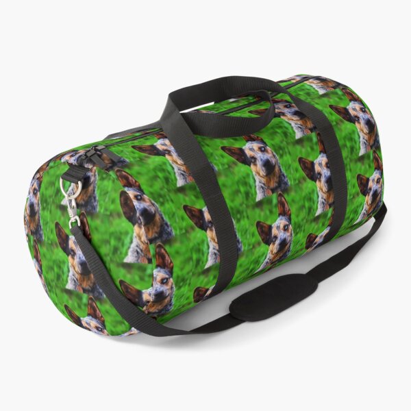 Item preview, Curious Australian Cattle Dog Close-Up designed and sold by TheAnimalZ00.