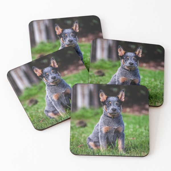 Item preview, Cute Australian Cattle Dog Puppy designed and sold by TheAnimalZ00.