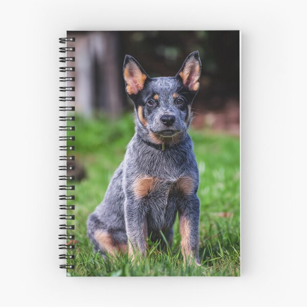 Item preview, Cute Australian Cattle Dog Puppy designed and sold by TheAnimalZ00.