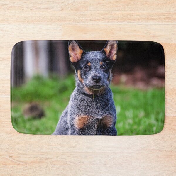 Item preview, Cute Australian Cattle Dog Puppy designed and sold by TheAnimalZ00.