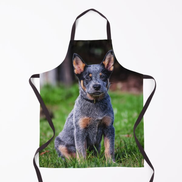 Item preview, Cute Australian Cattle Dog Puppy designed and sold by TheAnimalZ00.