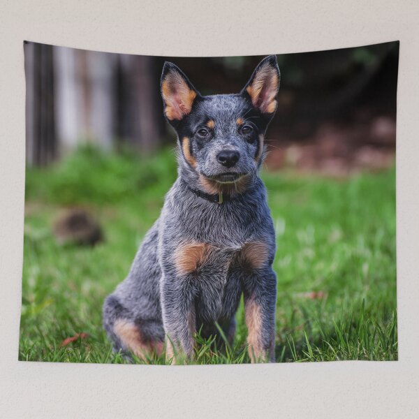 Item preview, Cute Australian Cattle Dog Puppy designed and sold by TheAnimalZ00.