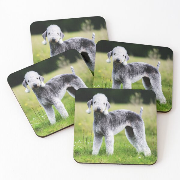 Item preview, Bedlington Terrier Dog Outdoors designed and sold by TheAnimalZ00.