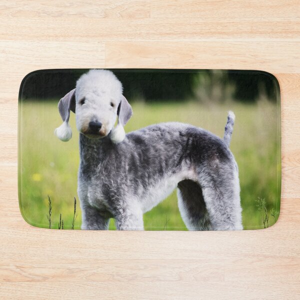 Item preview, Bedlington Terrier Dog Outdoors designed and sold by TheAnimalZ00.
