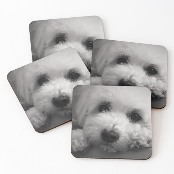 Item preview, Black And White Bichon Frise Face designed and sold by TheAnimalZ00.