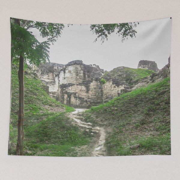 Item preview, Path Towards the Mayan Ruins, Tikal, Guatemala designed and sold by heatherfriedman.