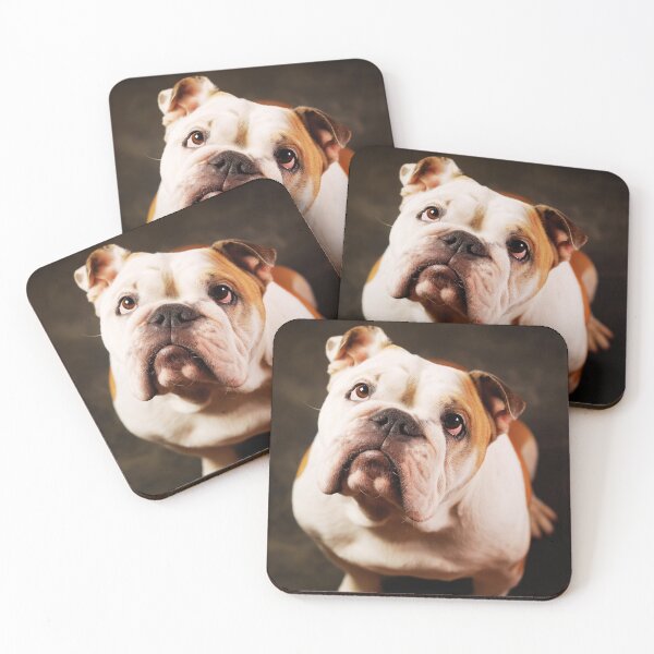 Item preview, Sweet English Bulldog Dog Face Photo designed and sold by TheAnimalZ00.