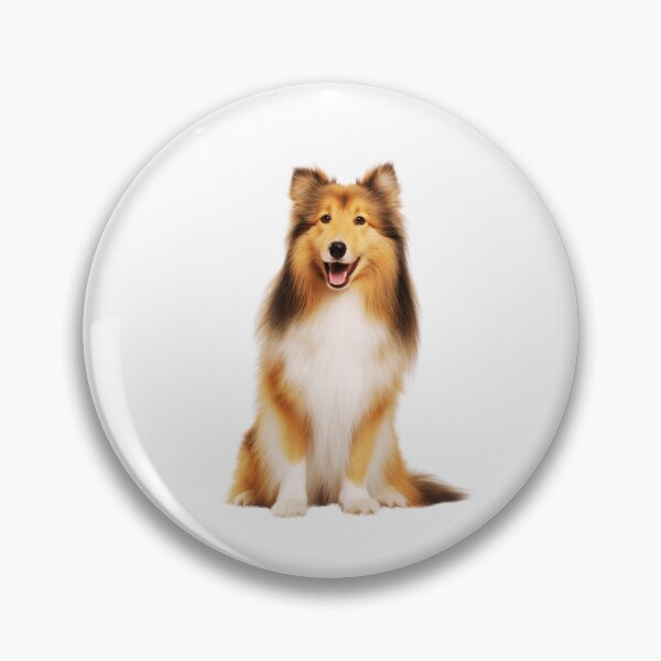 Item preview, Cute Shetland Sheepdog Sitting designed and sold by TheAnimalZ00.