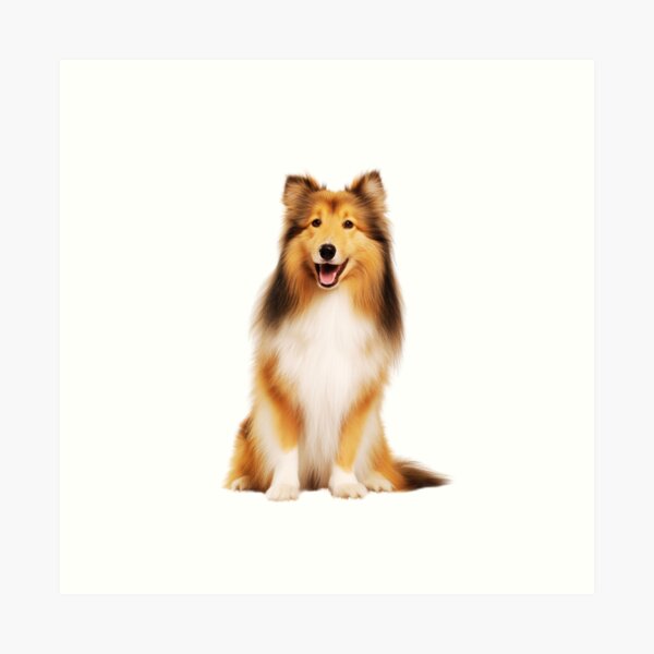 Item preview, Cute Shetland Sheepdog Sitting designed and sold by TheAnimalZ00.