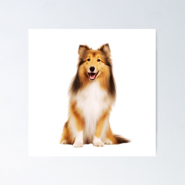 Item preview, Cute Shetland Sheepdog Sitting designed and sold by TheAnimalZ00.