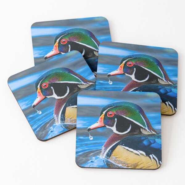 Item preview, LLP Canada Collection Wood Duck designed and sold by LokoLifePhotography.