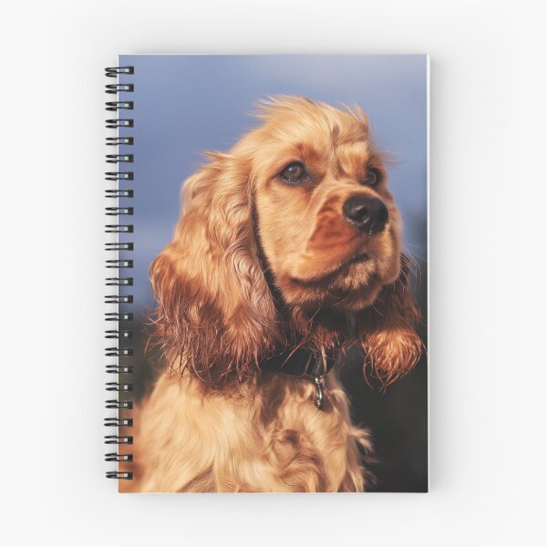 Item preview, Golden Cocker Spaniel in Natural Light Close-Up designed and sold by TheAnimalZ00.