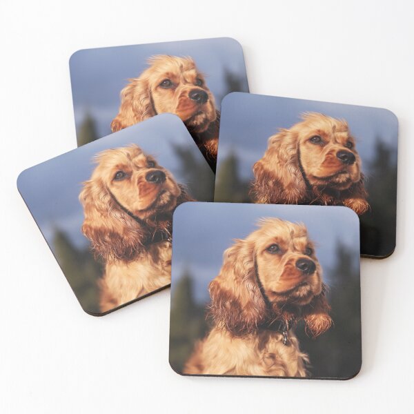 Item preview, Golden Cocker Spaniel in Natural Light Close-Up designed and sold by TheAnimalZ00.