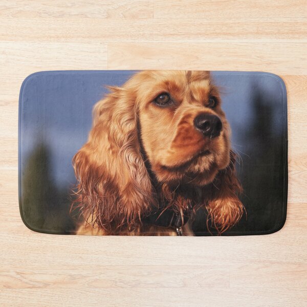 Item preview, Golden Cocker Spaniel in Natural Light Close-Up designed and sold by TheAnimalZ00.