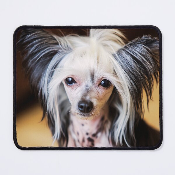 Item preview, Cute Chinese Crested Dog Portrait designed and sold by TheAnimalZ00.