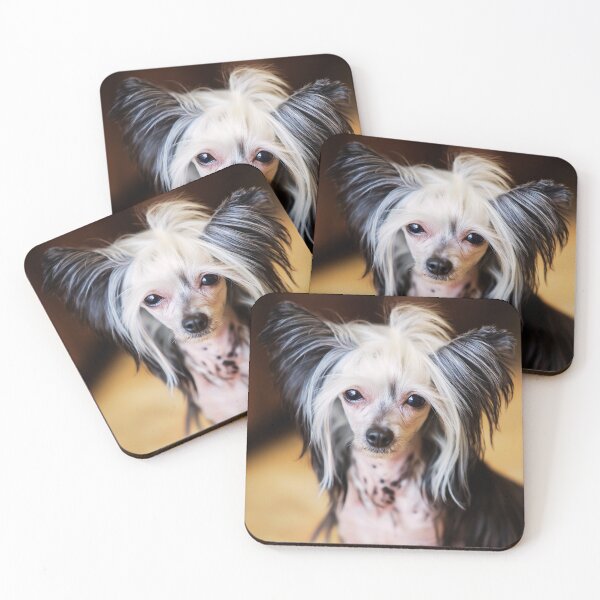 Item preview, Cute Chinese Crested Dog Portrait designed and sold by TheAnimalZ00.