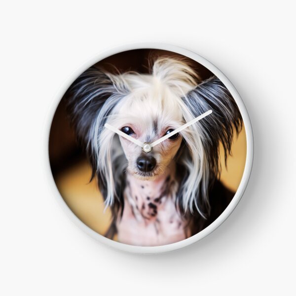 Item preview, Cute Chinese Crested Dog Portrait designed and sold by TheAnimalZ00.