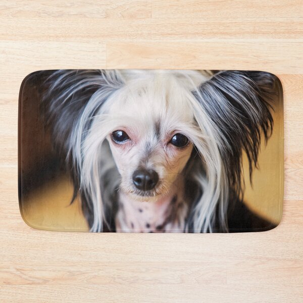 Item preview, Cute Chinese Crested Dog Portrait designed and sold by TheAnimalZ00.