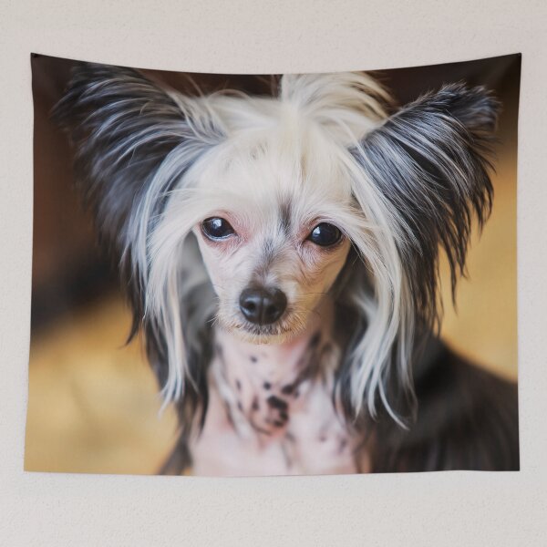 Item preview, Cute Chinese Crested Dog Portrait designed and sold by TheAnimalZ00.