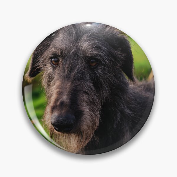 Item preview, Scottish Deerhound Dog Face designed and sold by TheAnimalZ00.