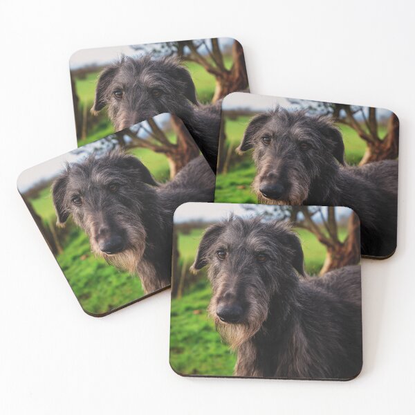 Item preview, Scottish Deerhound Dog Face designed and sold by TheAnimalZ00.