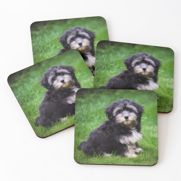 Item preview, Cute Adorable Maltese Puppy designed and sold by TheAnimalZ00.