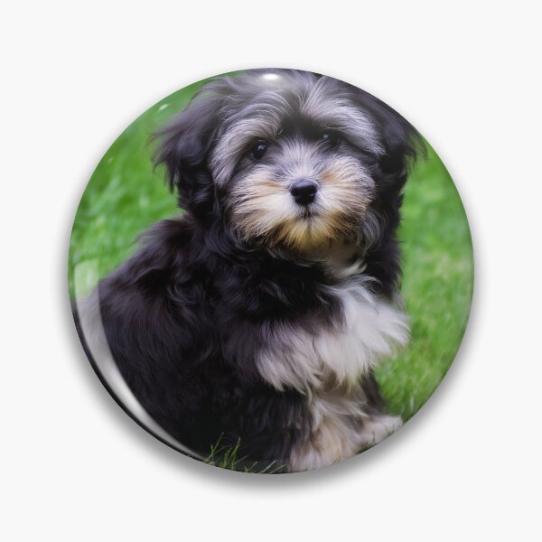 Item preview, Cute Adorable Maltese Puppy designed and sold by TheAnimalZ00.
