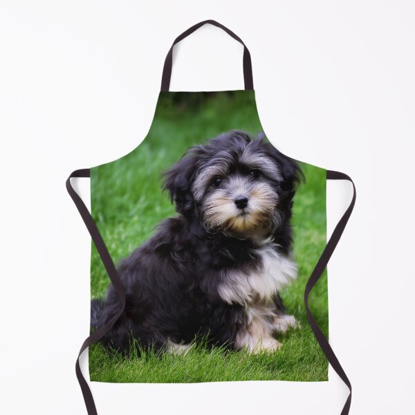 Item preview, Cute Adorable Maltese Puppy designed and sold by TheAnimalZ00.