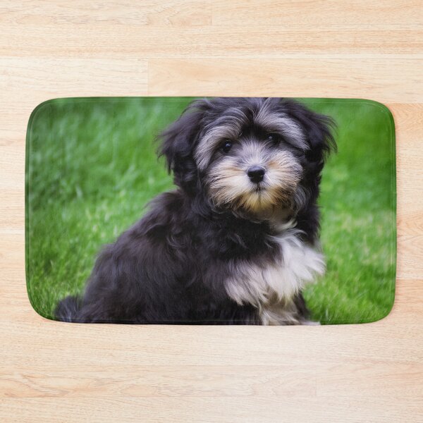 Item preview, Cute Adorable Maltese Puppy designed and sold by TheAnimalZ00.