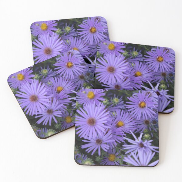 Item preview, Vibrant purple asters blooming in clusters designed and sold by eobyrdphotography.