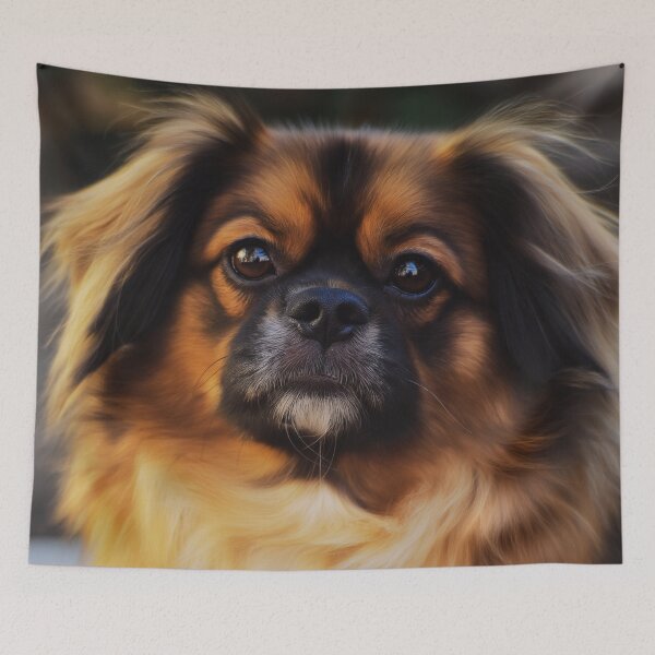 Item preview, Cute Tibetan Spaniel Dog Portrait Outdoors designed and sold by TheAnimalZ00.