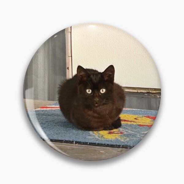 Item preview, Cat Stare designed and sold by YandIDesigner.