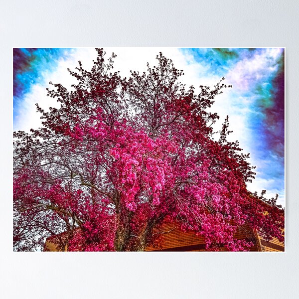 Item preview, Pink Blooming designed and sold by YandIDesigner.