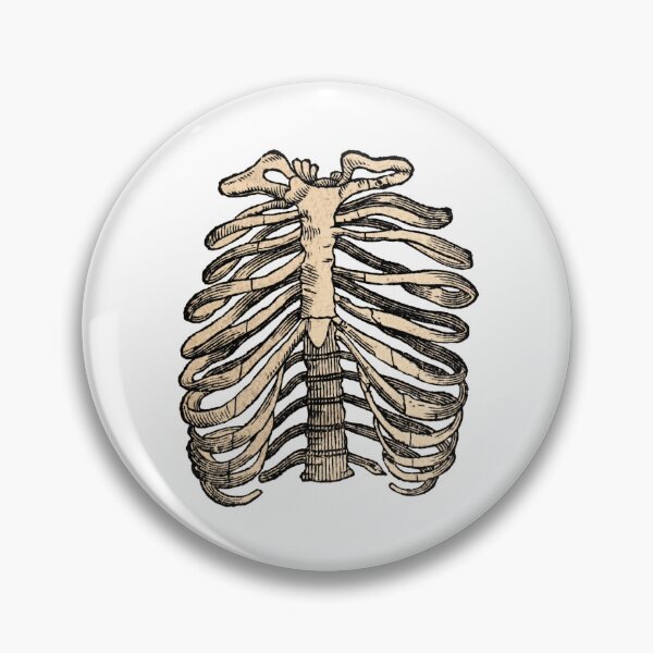 Item preview, Vintage Ribcage Medical Drawing  designed and sold by HawthorneFlame.