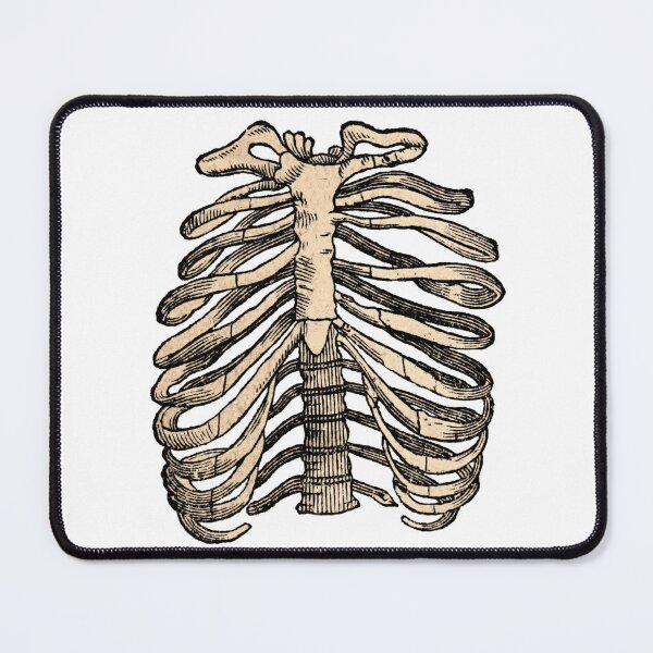 Item preview, Vintage Ribcage Medical Drawing designed and sold by HawthorneFlame.