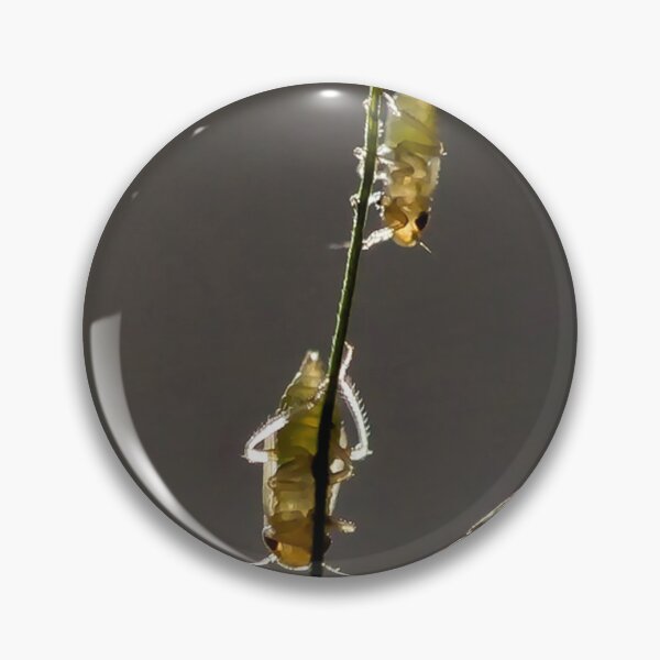 Item preview, Insects on grass in subtle backlighting designed and sold by franck380.
