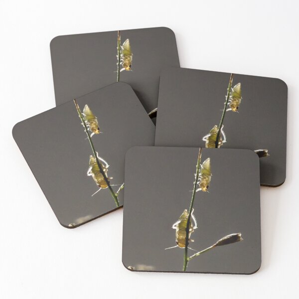 Item preview, Insects on grass in subtle backlighting designed and sold by franck380.