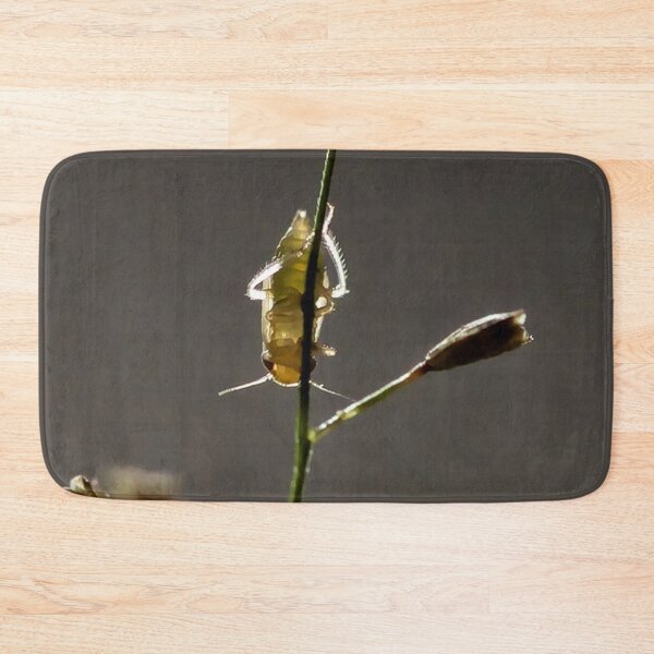 Item preview, Insects on grass in subtle backlighting designed and sold by franck380.