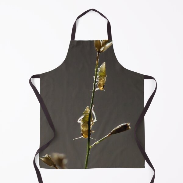 Item preview, Insects on grass in subtle backlighting designed and sold by franck380.