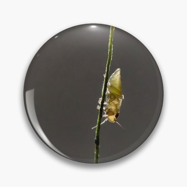 Item preview, Insects on grass in subtle backlighting designed and sold by franck380.