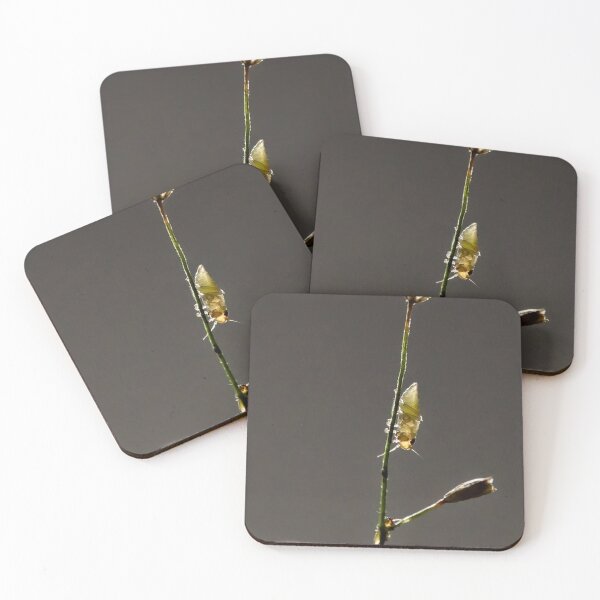 Item preview, Insects on grass in subtle backlighting designed and sold by franck380.