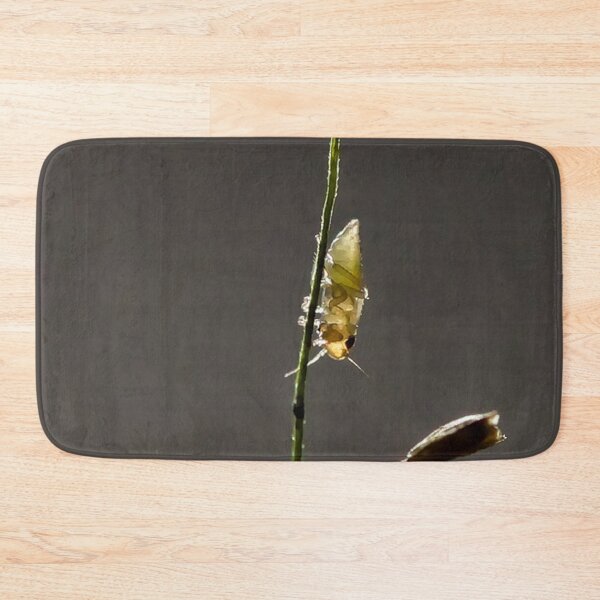 Item preview, Insects on grass in subtle backlighting designed and sold by franck380.