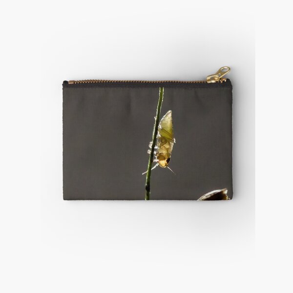 Item preview, Insects on grass in subtle backlighting designed and sold by franck380.