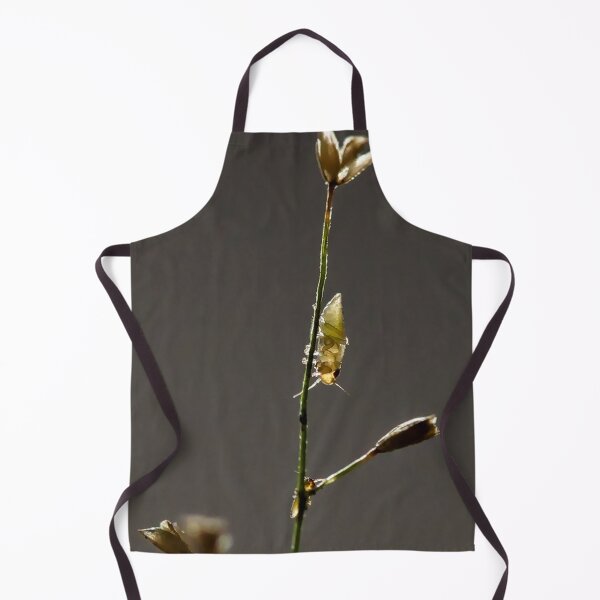 Item preview, Insects on grass in subtle backlighting designed and sold by franck380.