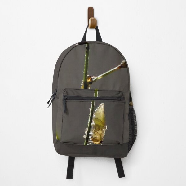 Item preview, Insects on grass in subtle backlighting designed and sold by franck380.