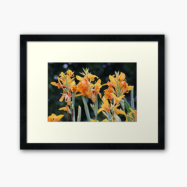 Item preview, Cana Lily  designed and sold by Tracy Engle.