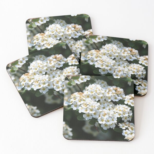 Item preview, Bridal Wreath Close-up designed and sold by WilfuerM.